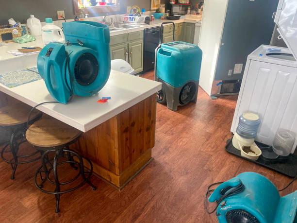 Best Flooded house restoration  in Mountain View, AR