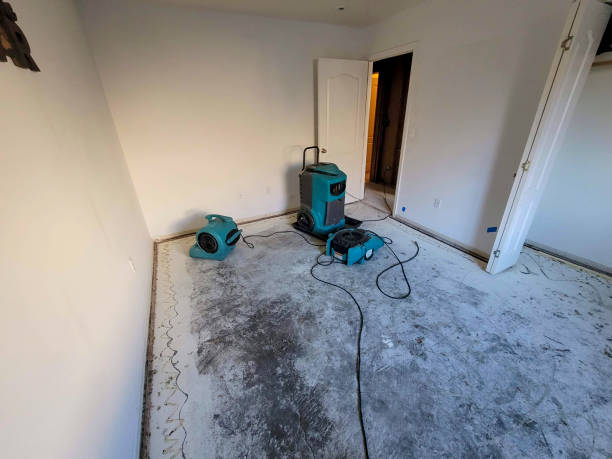 Mountain View, AR Water damage restoration Company