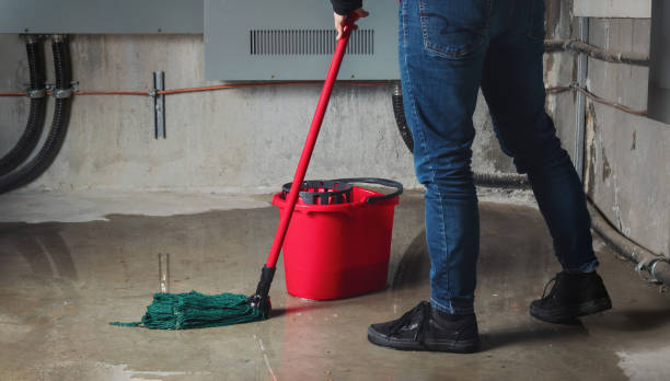 Best 24-hour water damage restoration  in Mountain View, AR