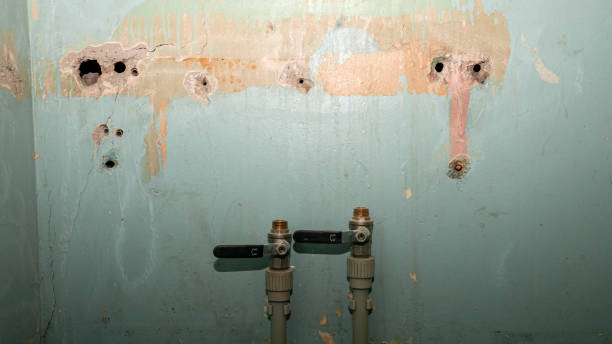 Best Water damage contractors near me  in Mountain View, AR
