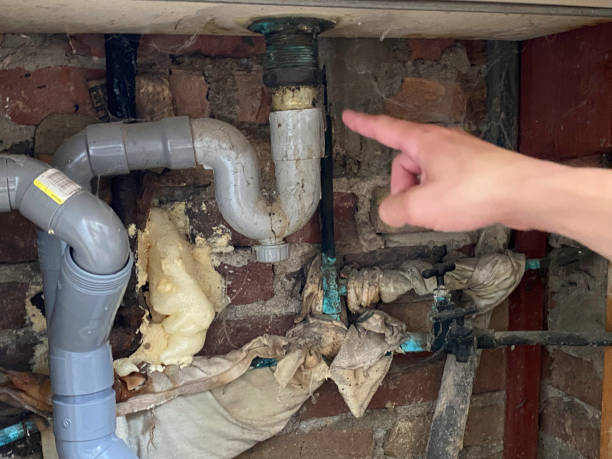 Best Flood damage cleanup  in Mountain View, AR