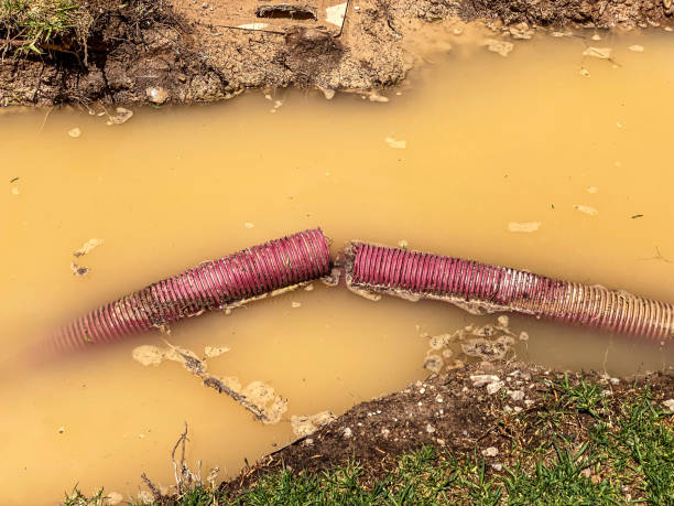 Best Basement water damage restoration  in Mountain View, AR