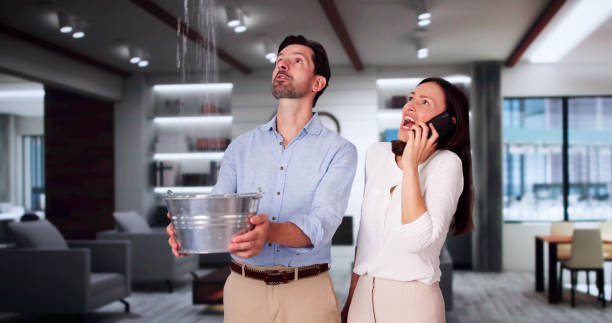 Best Professional water damage repair  in Mountain View, AR
