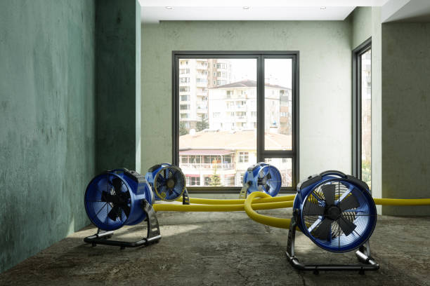 Best Water damage restoration near me  in Mountain View, AR